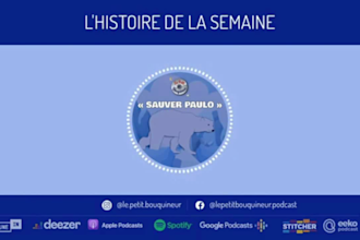 give you the perfect french voice over for your ebooks and narrations