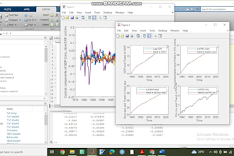 do statistical data analysis and programming using matlab, rstudio and stata