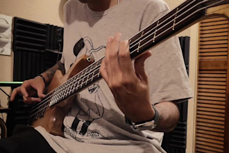 be your pro session bassist