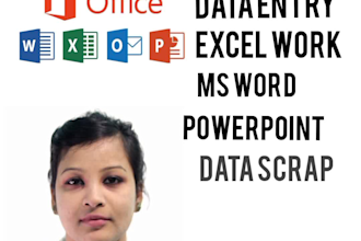 provide quality and fastest data entry service