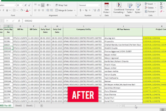 clean, format, and organize your excel data professionally