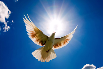 create parallax effect for your photos