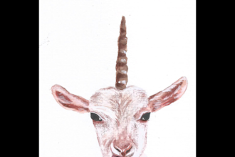 turn your cat, dog or any pet portrait into great oil painting