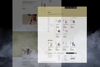one producshopifdropshippinstore, shopify website, and dropshipping agent store