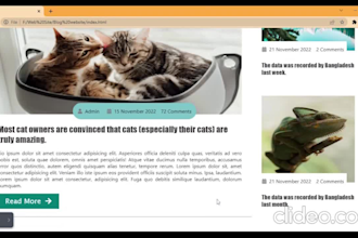 design professional blog website wordpress website or wordpress blog