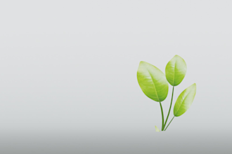 3d model and animate nature and plants