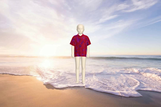 do professional apparel cad pattern making and clo 3d sample fitting