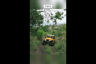 professionally color grade and edit your photos