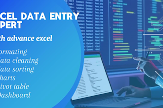 do advanced excel data entry, formulas, and automation