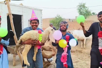 african happy birthday video african happy birthday video