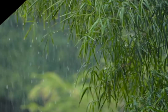 made 10 meditation videos for stress relief and inner peace