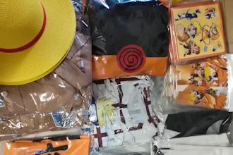 help you open or upgrade your anime gift toy party store