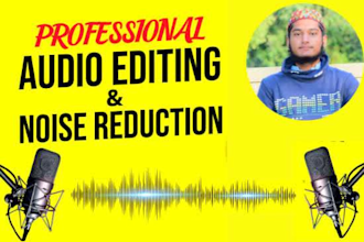 do professional audio editing and noise reduction