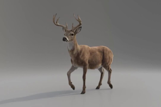 create realistic 3d cgi animal animation, cgi animal character, 3d deer model
