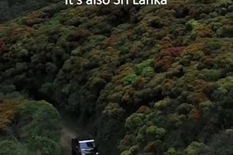 guide and assist you anything related to sri lanka