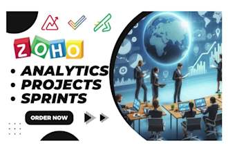set up, customize, and automate zoho analytics, zoho projects, and zoho sprints