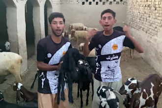 do funny african happy birthday video or happy birthday video