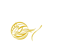 do a creative 2d logo animation