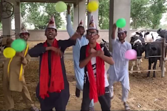 make crazy funny happy birthday african video or spokperson