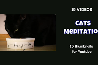 create cat meditation music video for youtube channel
