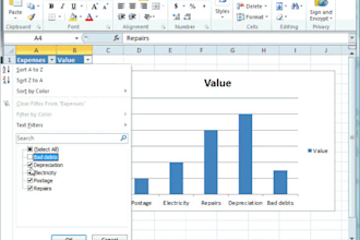 create professional excel dashboards, graphs, and charts