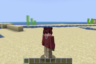 create and configure a minecraft server for you in any mode