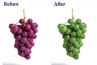 photoshop editing, retouching, color change and bg removing