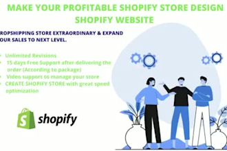 design a professional shopify store