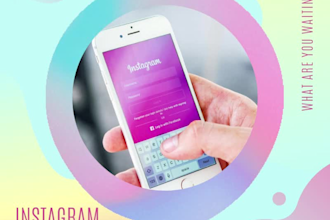 professionally set up and manage your instagram
