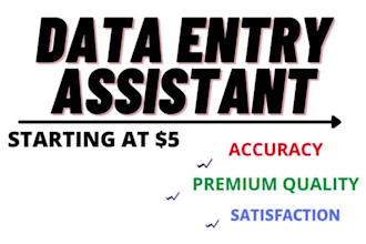 do data entry in excel accurately and also web search
