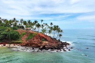 give sri lanka nature drone footage for you