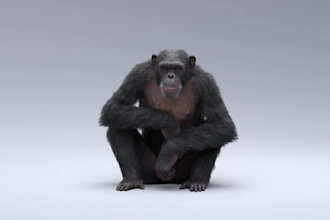 create 3d character animation, character design, 3d animal model ,rig character