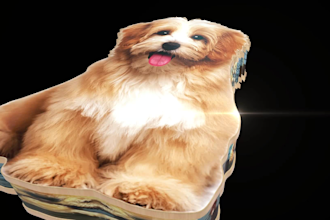 turn your photo into a high resolution 3d animated video
