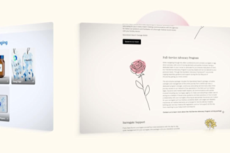 design a professional pitch deck presentation for your brand