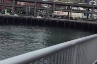 edit your tiktok and ig reels