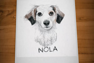 draw digital scribble pet portrait