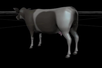 3d animal model dragon model, cow, dog, dinosaur model for 3d printing or game
