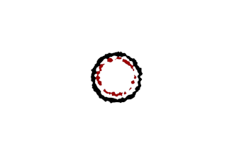 perfect animation for your logo
