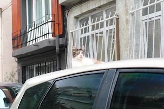 take videos and photos in istanbul