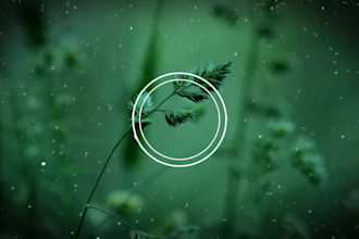 create relaxing , emotional piano music for you