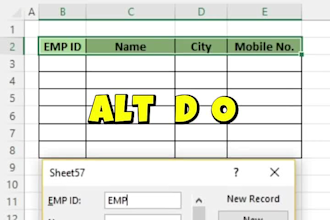 data entry, typing, and ms word formatting
