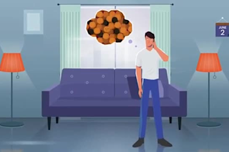 create 2d explainer video for websites,a saas explainer video,demo walkthrough