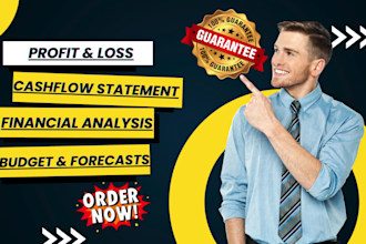 do budget, forecast,projections profit and loss, cashflow , financial statements