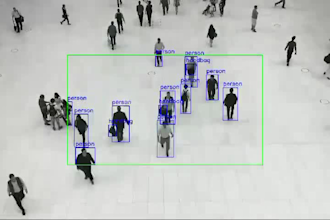 develop ai object detection and  tracking models