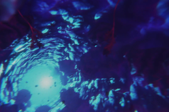 create a visualizer or animated video for your song