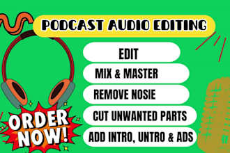 professional audio editing and noise reduction service with audio ducking