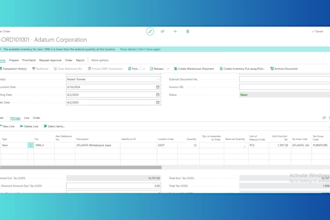 do customization development on ms dynamics business central