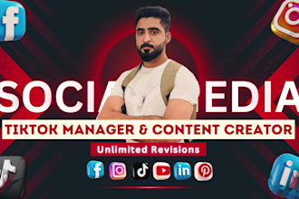 be your tiktok manager and tiktok content creator