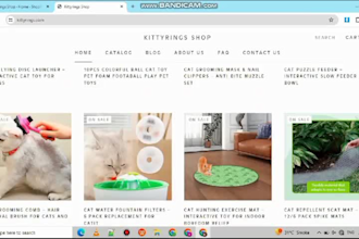 create a dropshipping store with one winning product