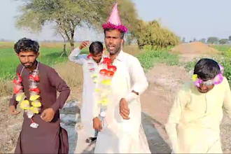 make funny and crazy happy birthday video